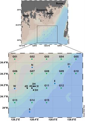 Environmental DNA Metabarcoding Analysis of Fish Assemblages and Phytoplankton Communities in a Furrowed Seabed Area Caused by Aggregate Mining